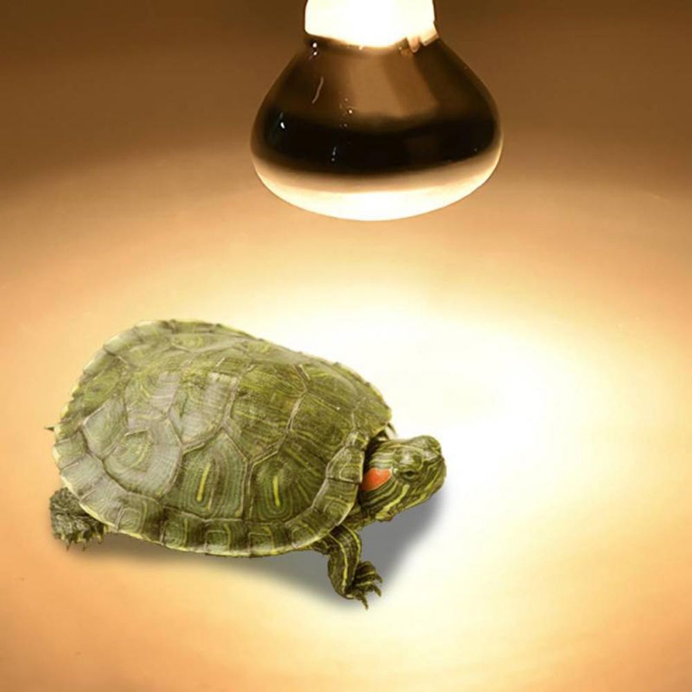 Turtle Heat Lamp Heater Haloge - Basking Bulb Halogen 评论和价格