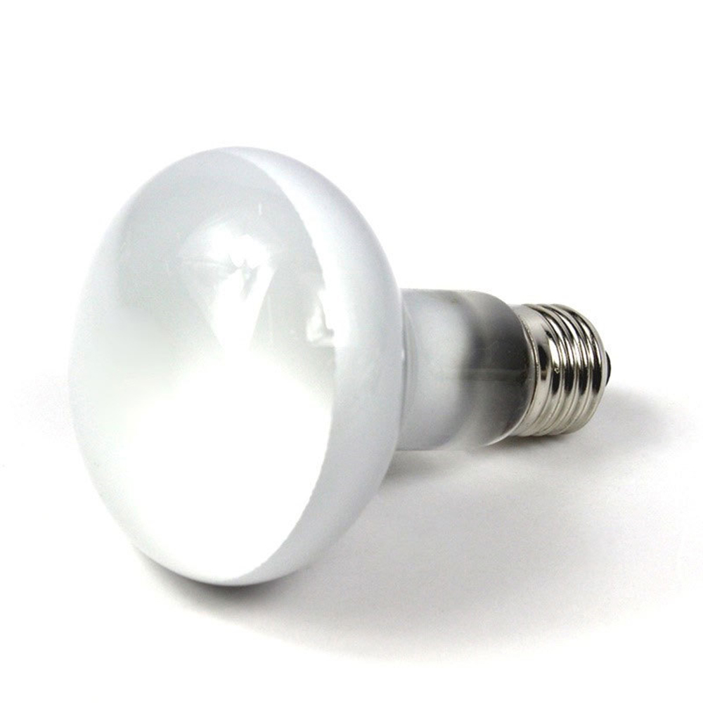 Turtle Heat Lamp Heater Haloge - Basking Bulb Halogen 评论和价格