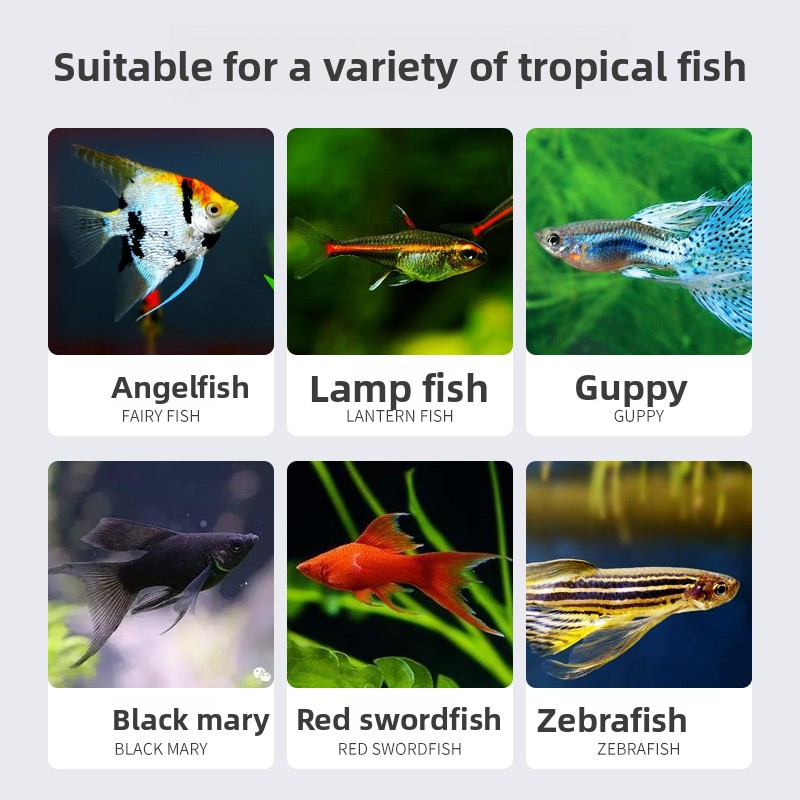 SUNSUN Premium Tropical Fish F - Tetra Food Tropical Flakes 评论和价格