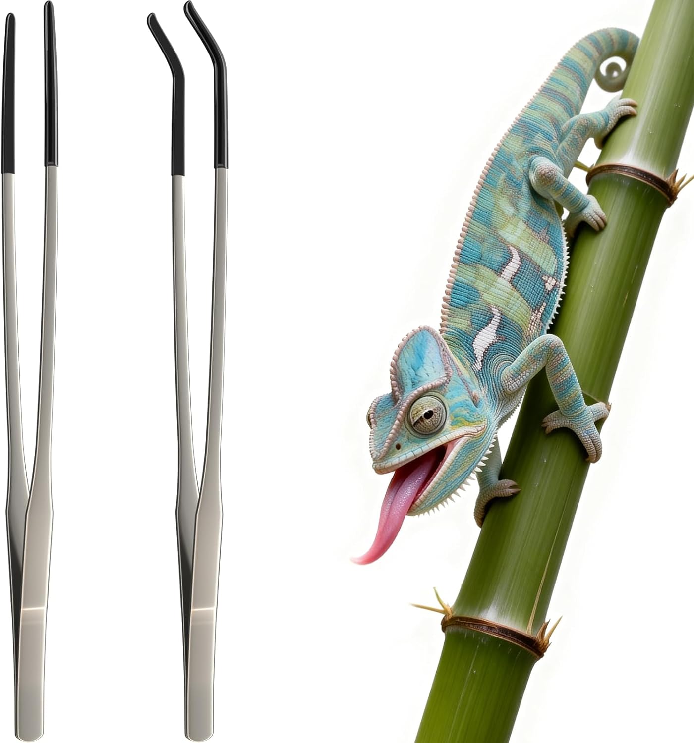 2 Pcs Extra Long Stainless Ste - Feeding Tong Stainless 评论和价格