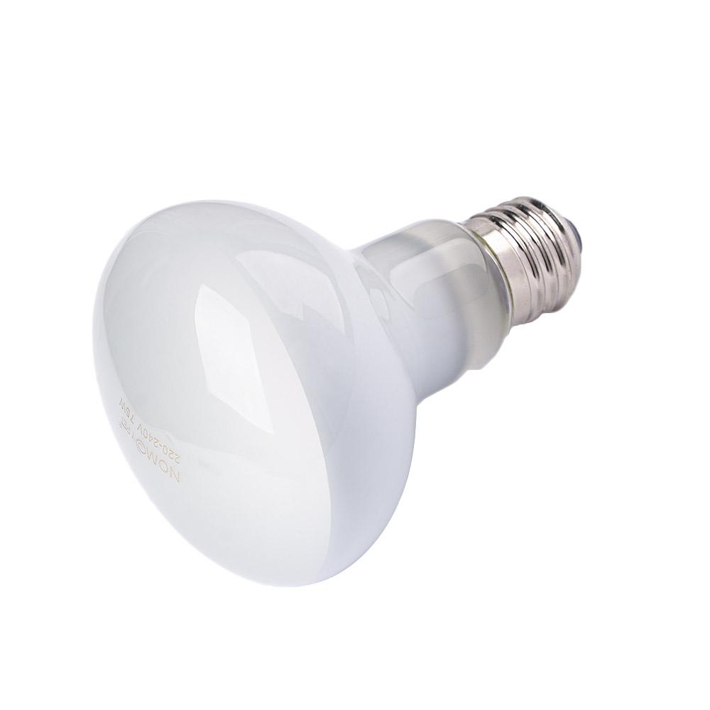 Turtle Heater Temperature Cont - Basking Bulb Halogen 评论和价格